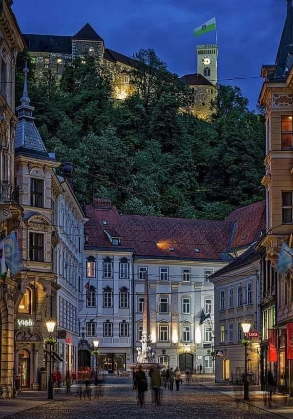Apartment In The Heart Of Ljubljana Exterior foto